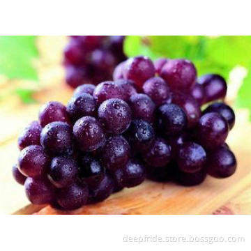 Oval Or Round Shape Sweet Fresh Red Grapes Seeded With Thic